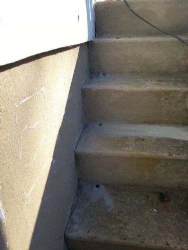 Termite Treatment  on Steps